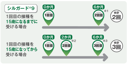HPV予防接種のスケジュール
