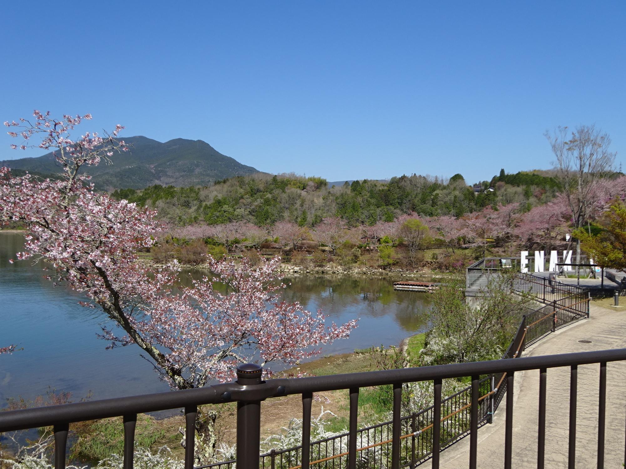 恵那峡公園20260408