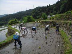 棚田オーナーとなった人たちが手作業で田植えをしている様子