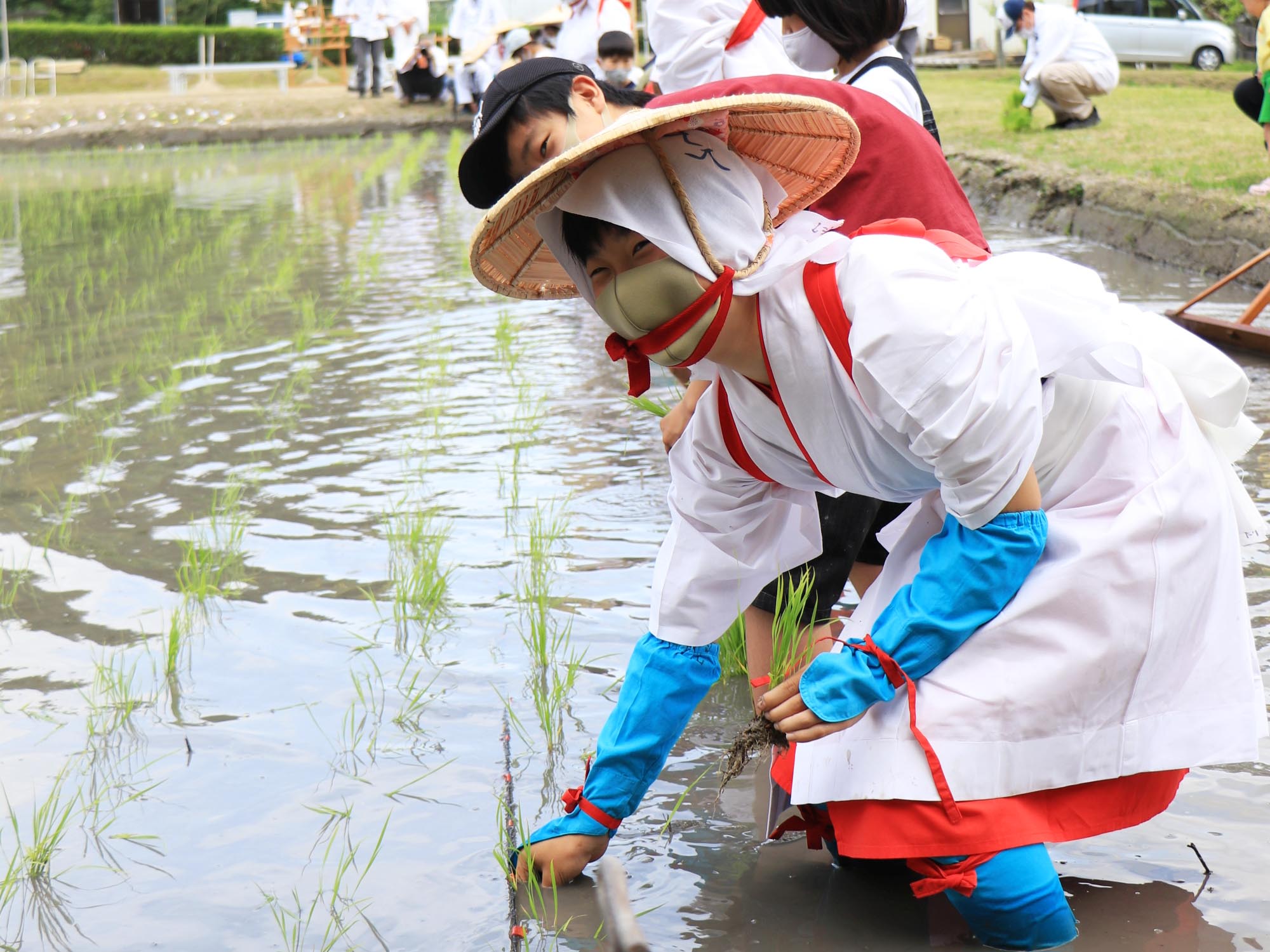 早乙女姿で田植えをする地元中学生