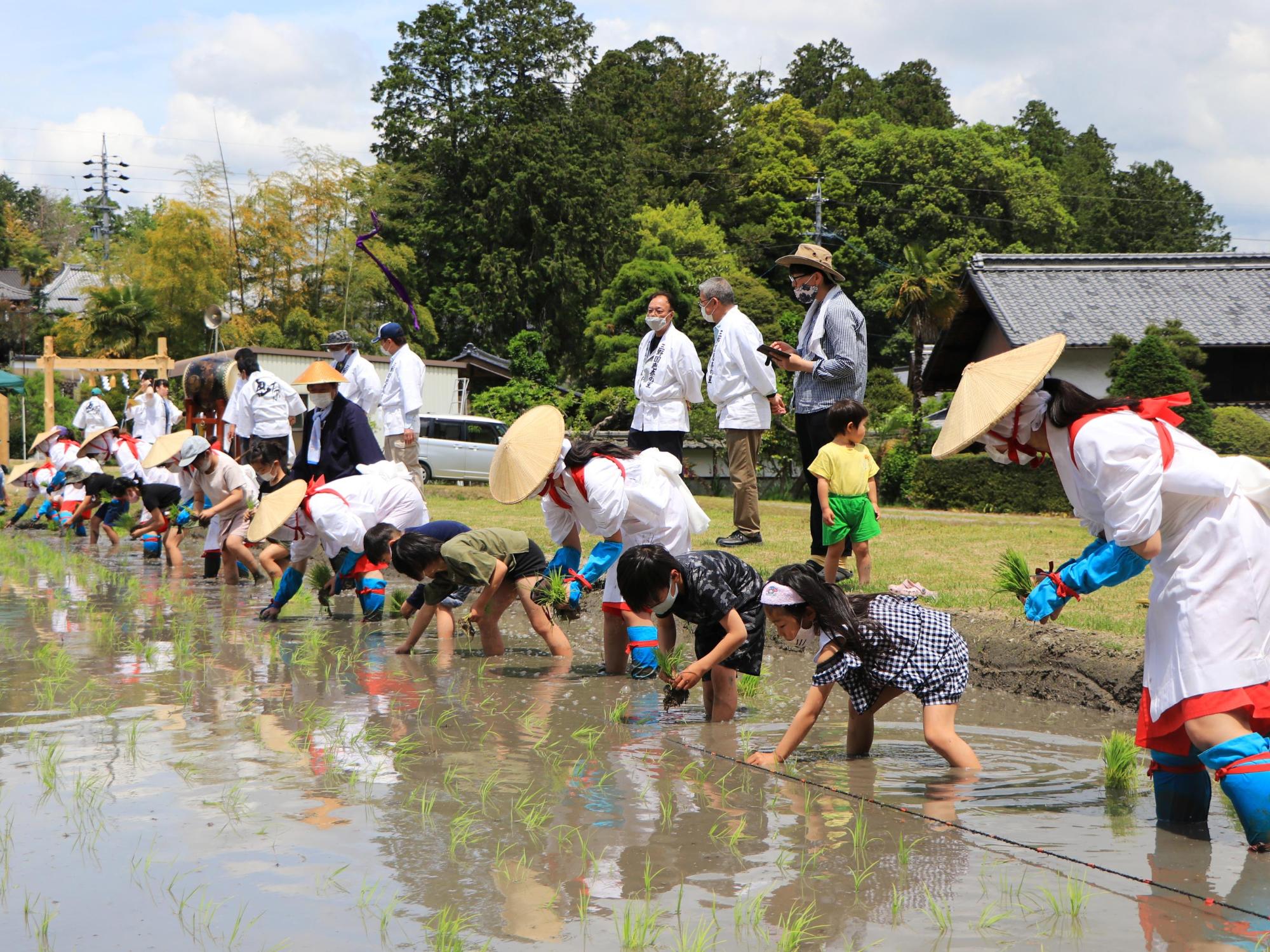 斎田に田植えをする早乙女と地元小学生