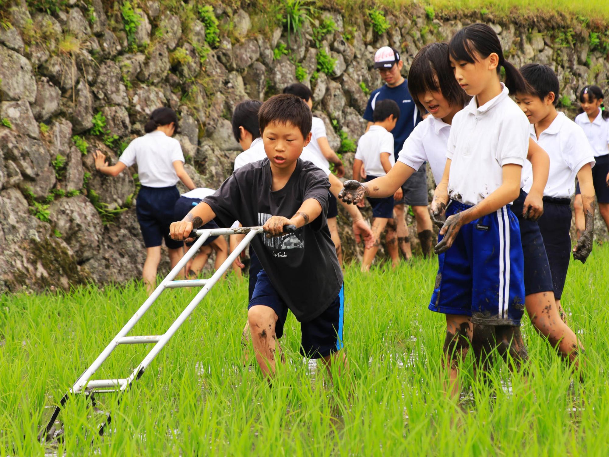 八反ずりで草をとる児童ら