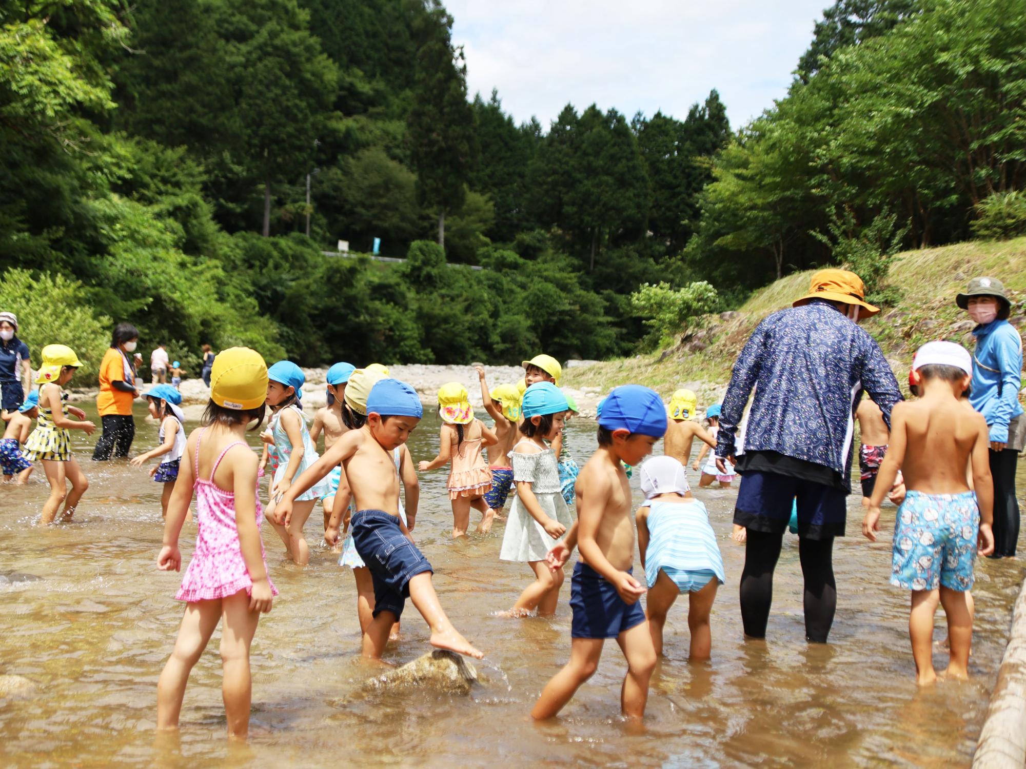上村川で遊ぶ園児ら