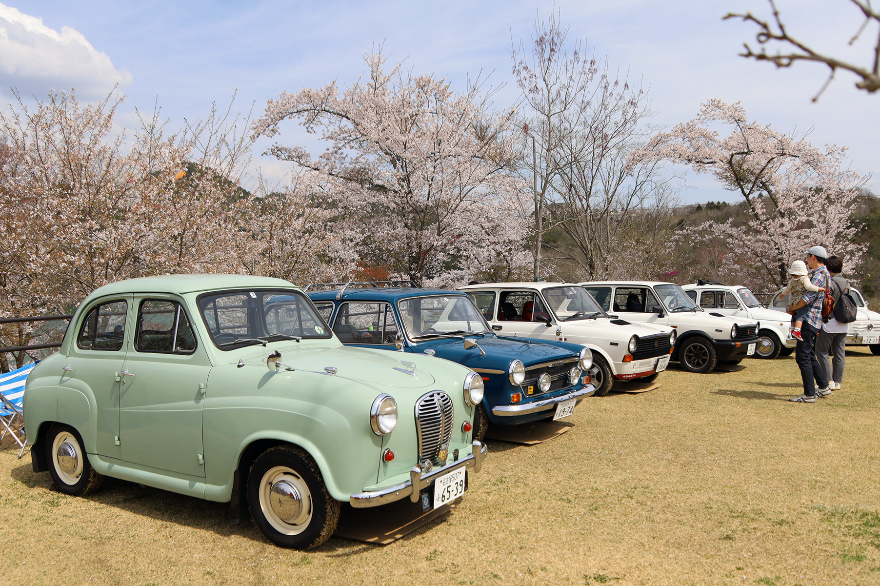 サクラとクラシックカー