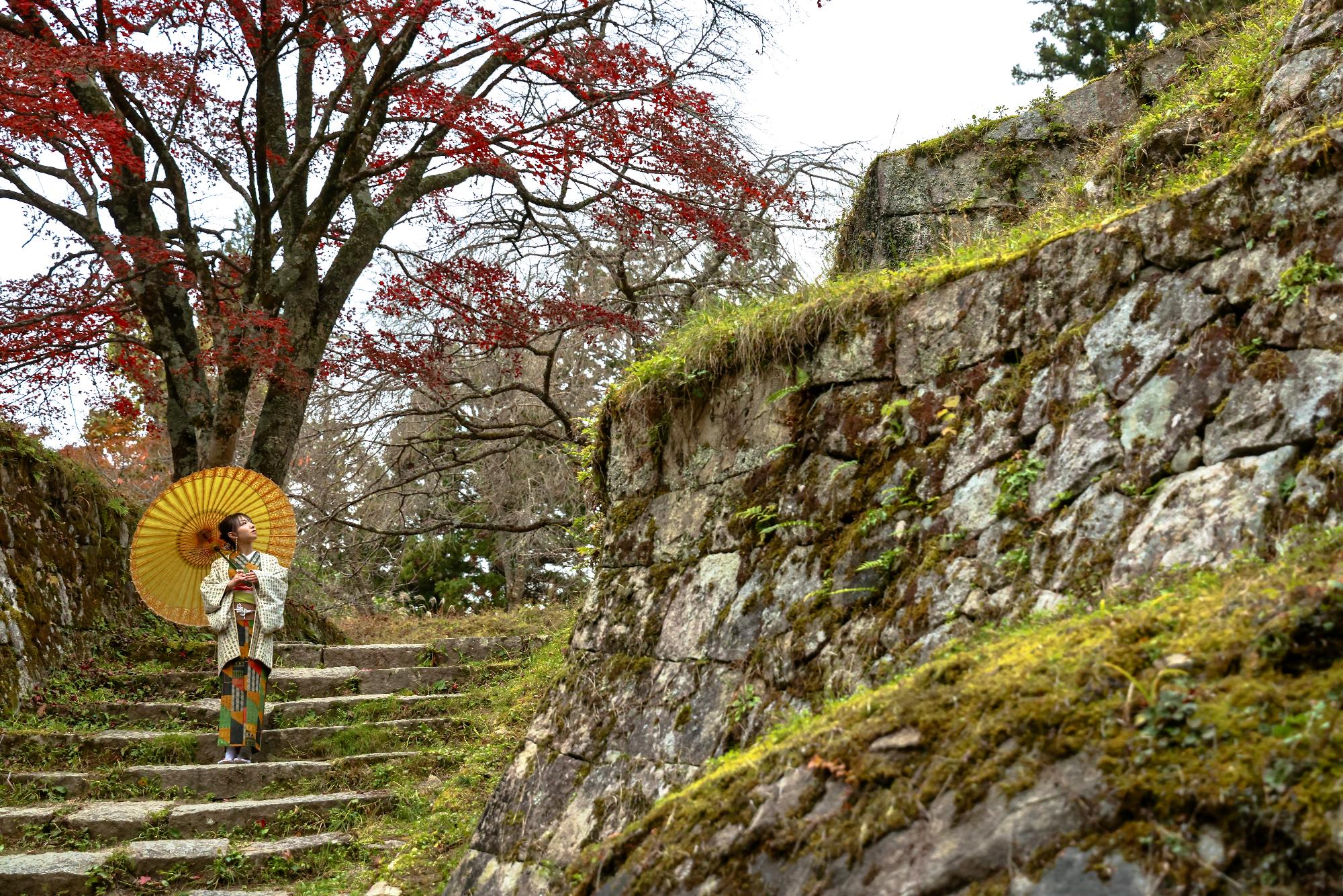 岩村城六段壁とモデル
