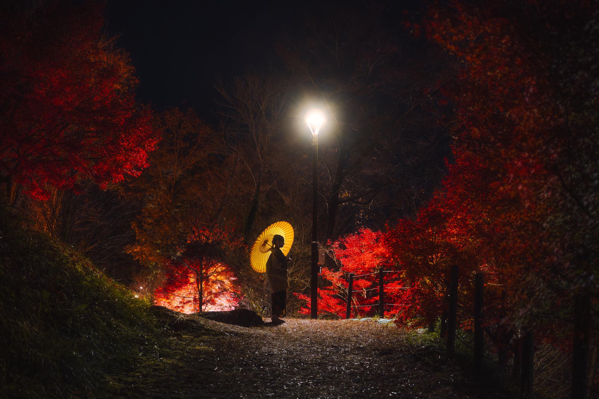 恵那峡公園紅葉