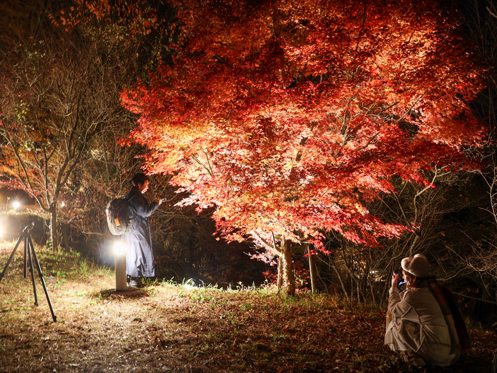 恵那峡公園の紅葉