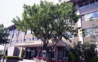 市の木「ハナノキ」の写真