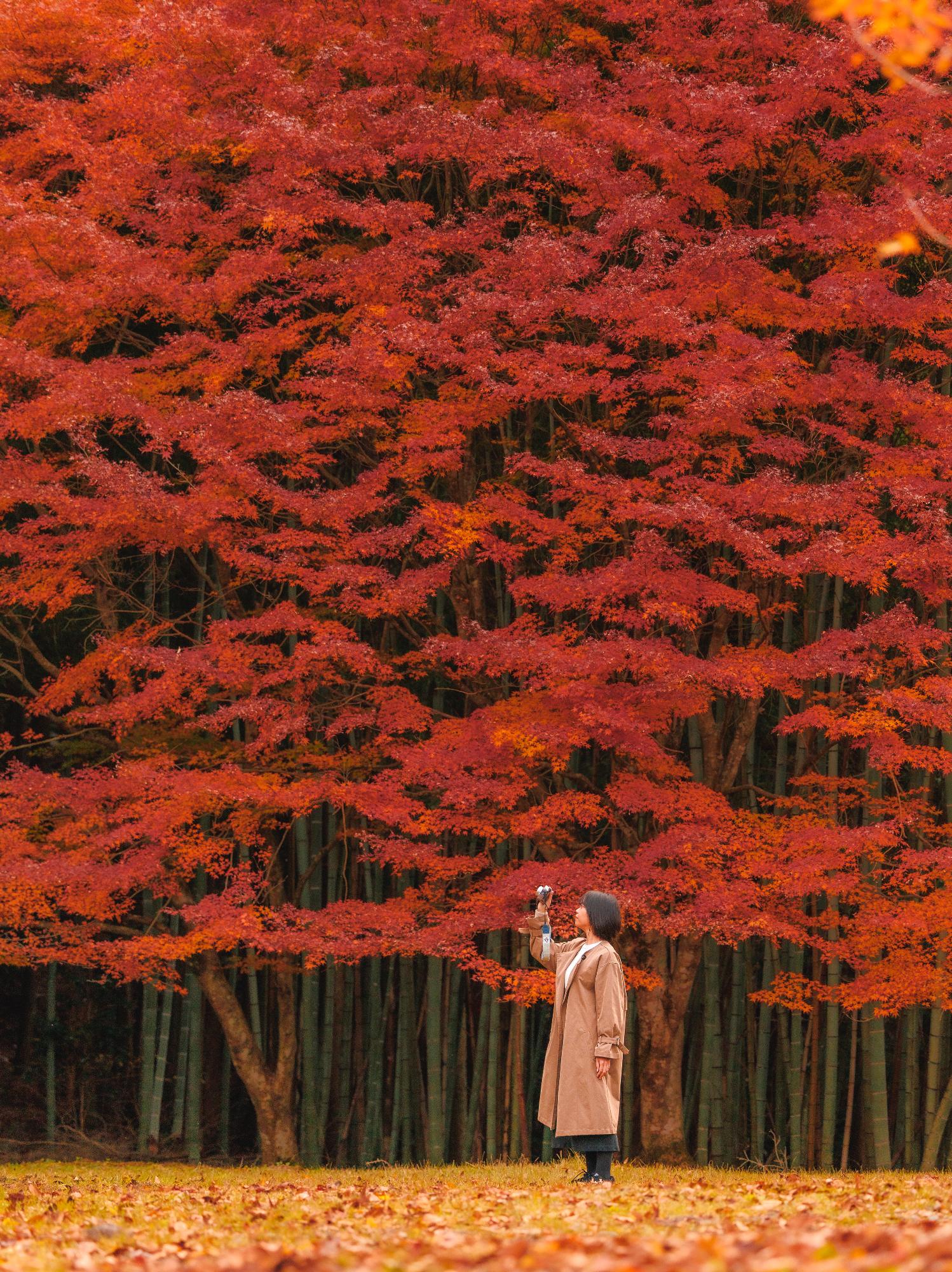 下田歌子勉学所2