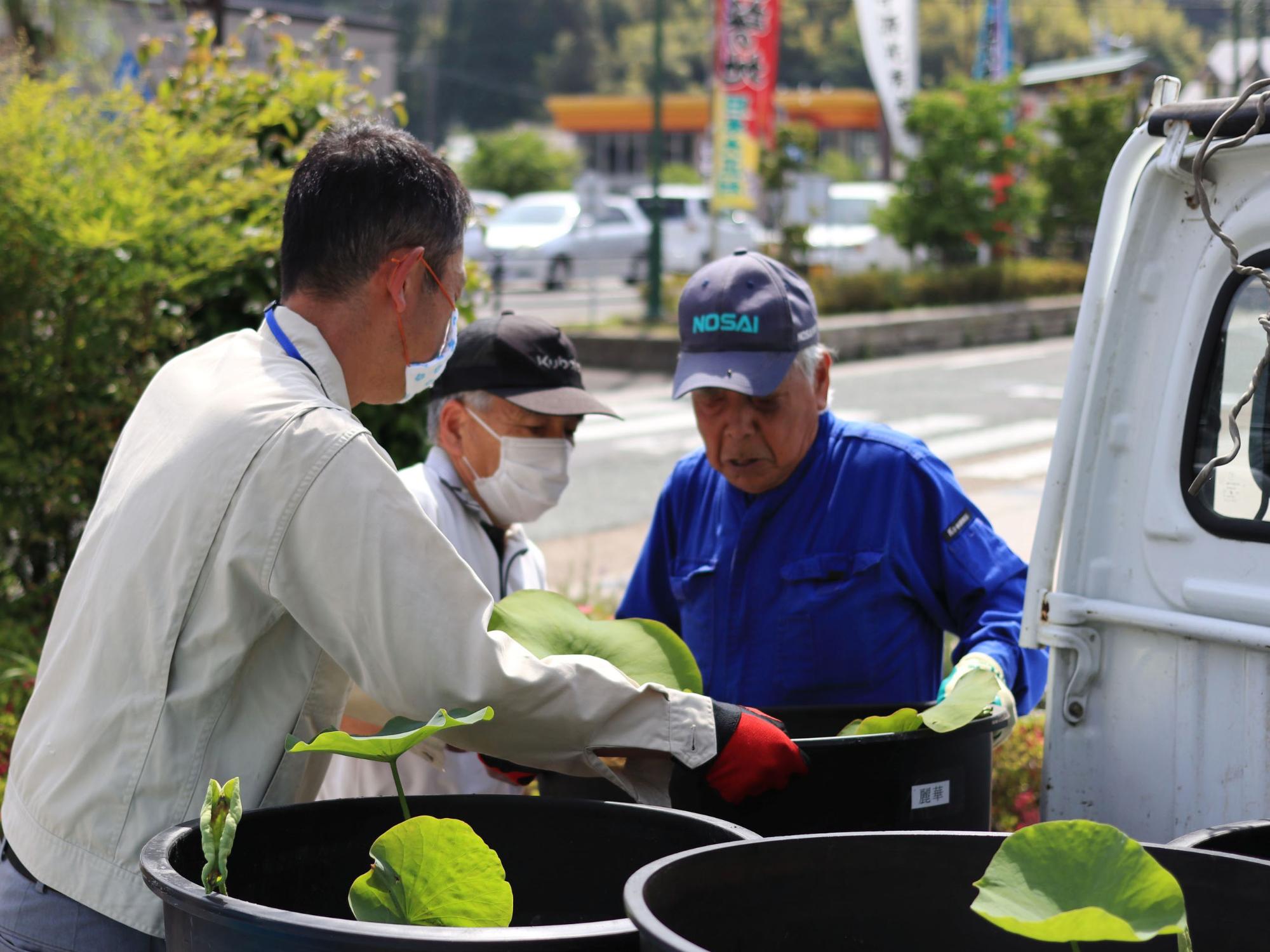 ハスの鉢植えを設置する実行委員会メンバー