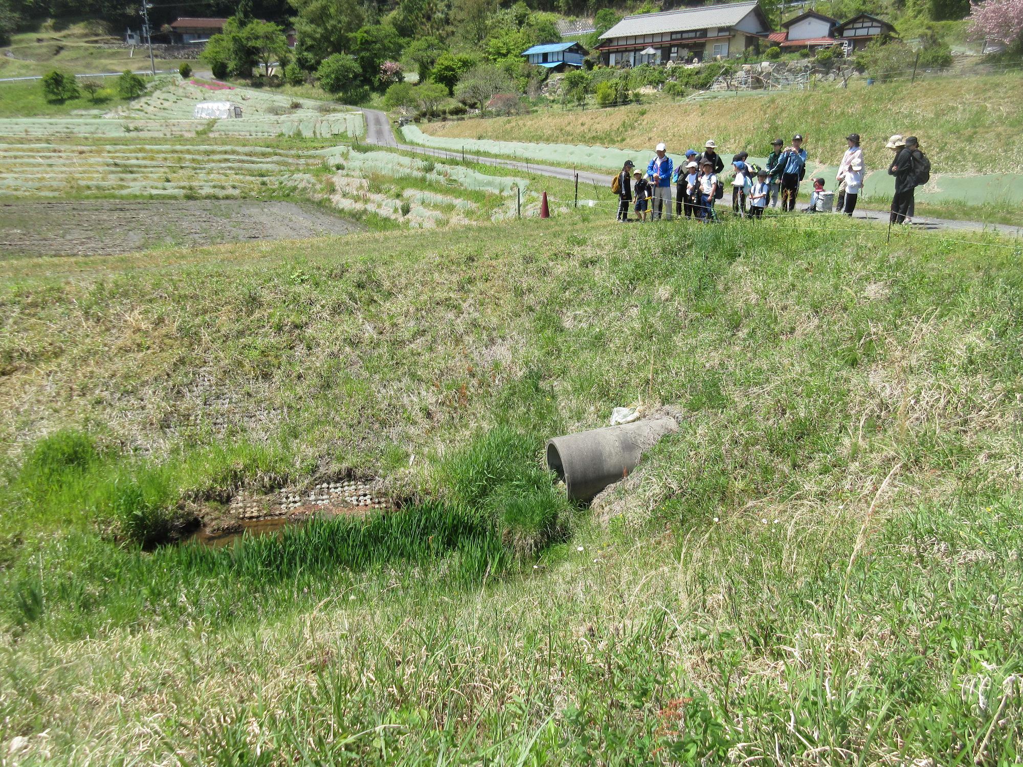 ensoku38