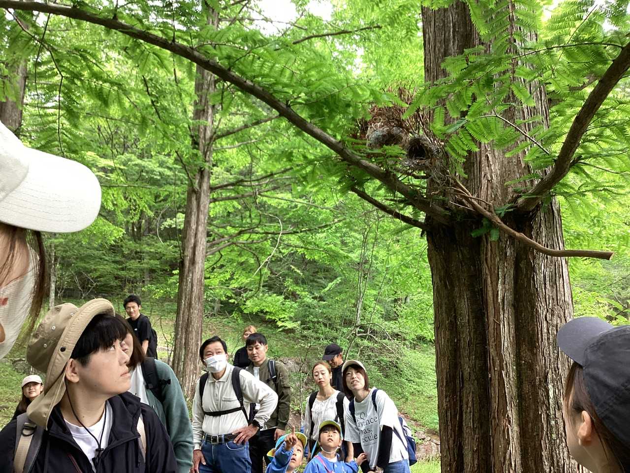 木育13