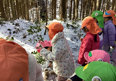 山の上で馬酔木取り