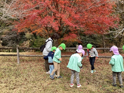 なにかないかな？