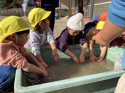 3歳児イモ洗い
