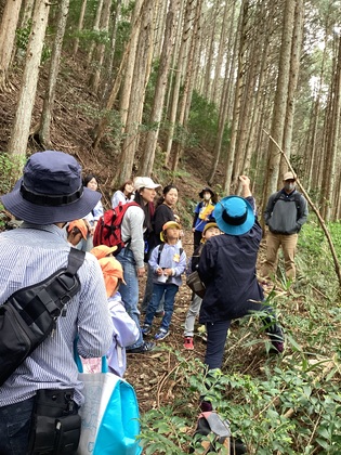 山歩きの画像