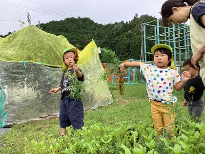 人参