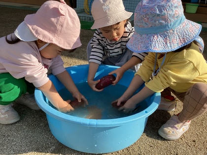 未満児イモ洗い