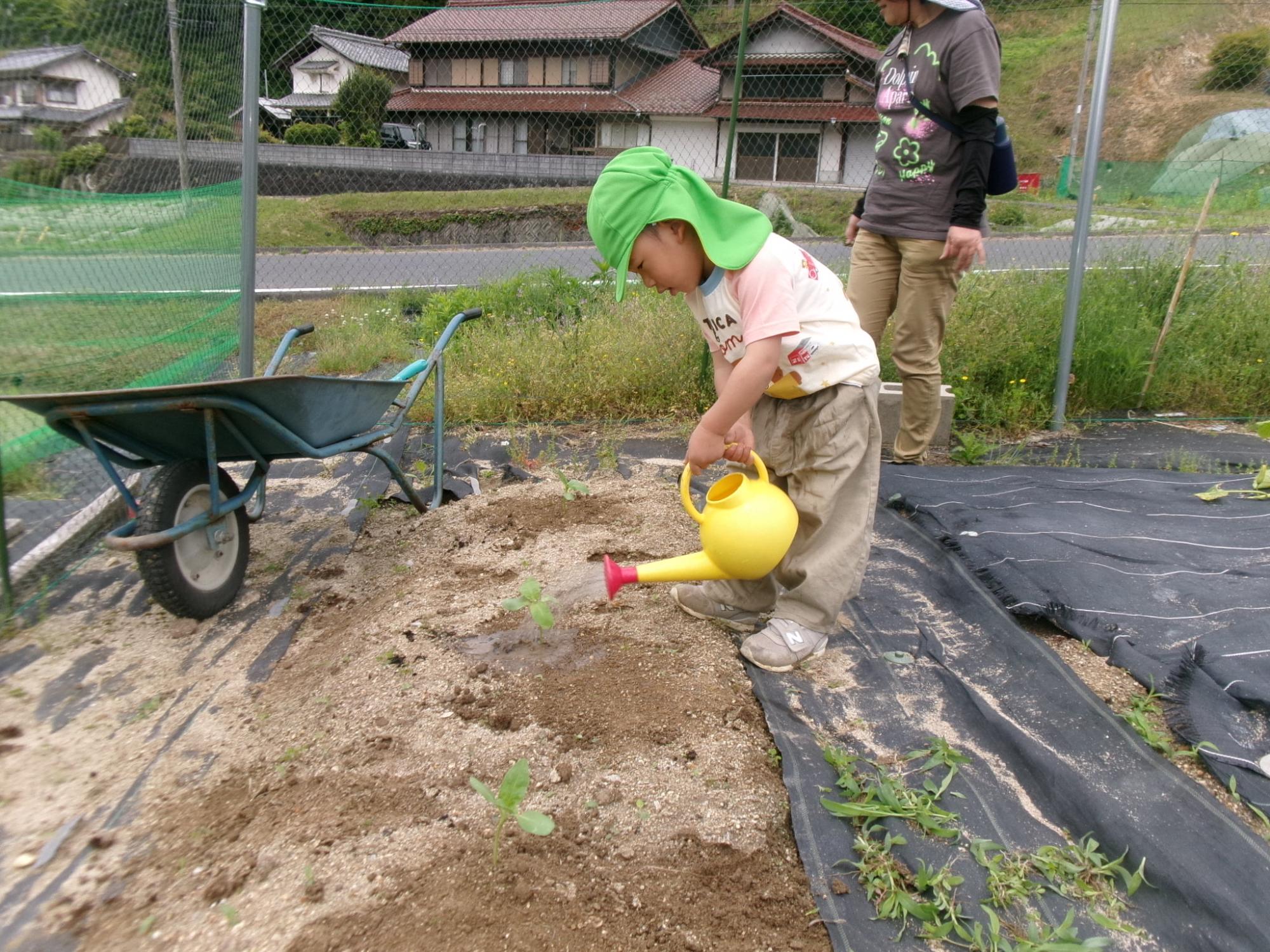 お水もあげるよ