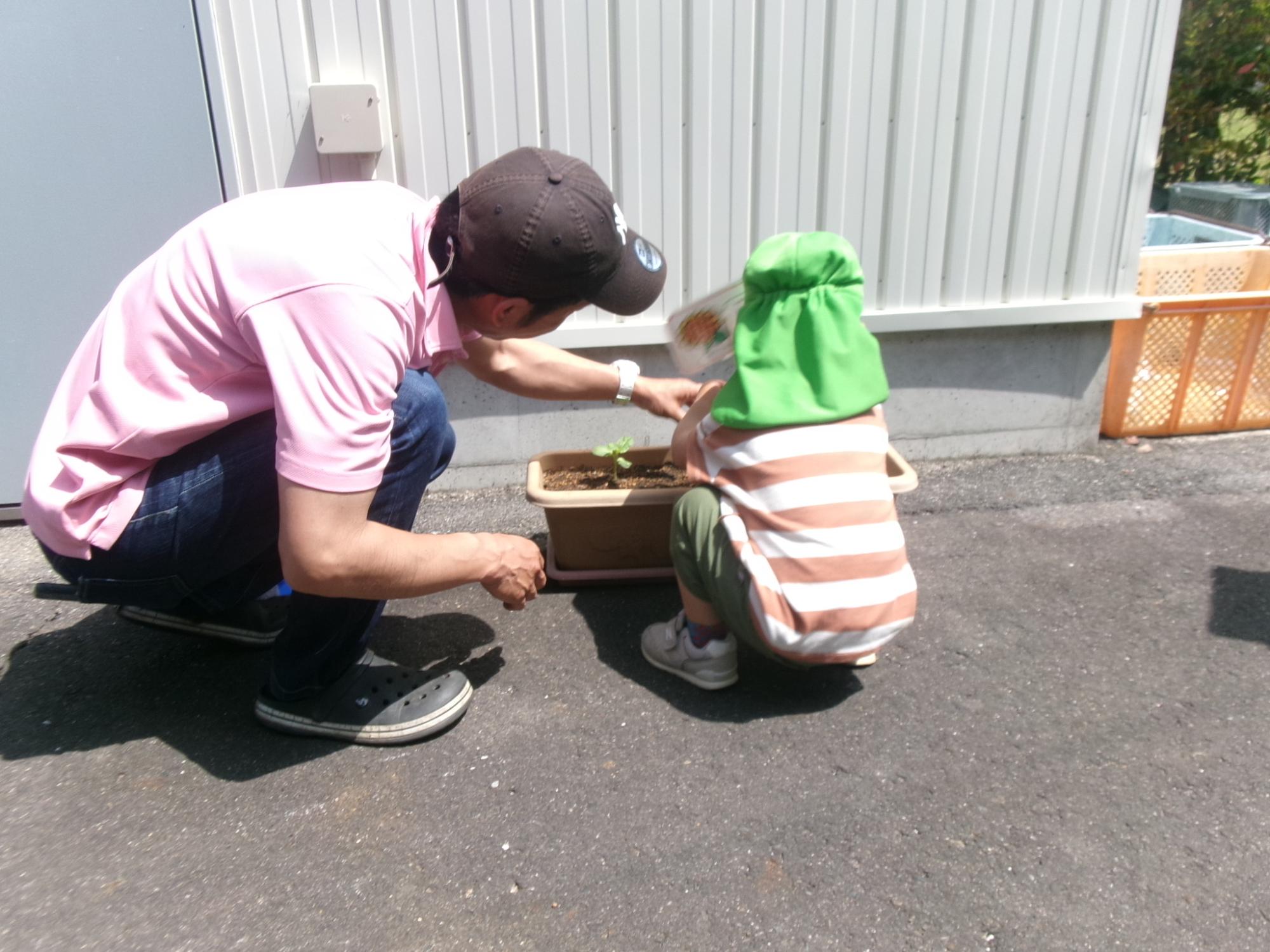 マレットさんも看板立ててね