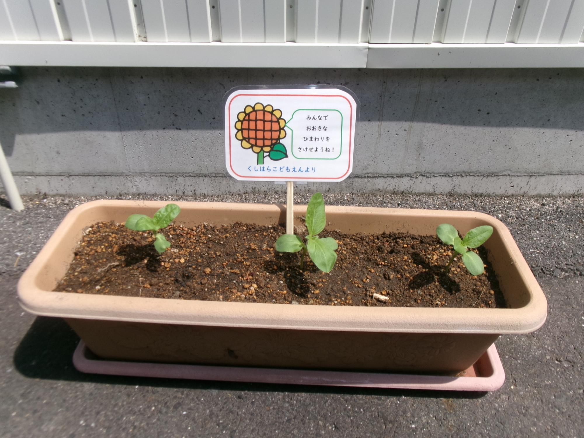 看板