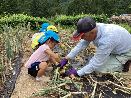 地域の方と玉ねぎをぬくところ