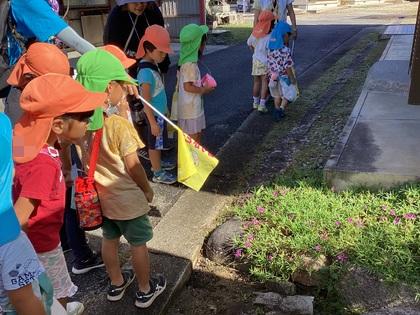 カマキリ発見の画像