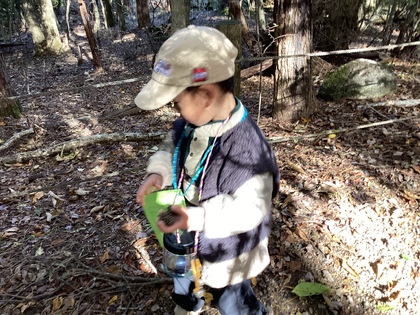 どんぐりの帽子