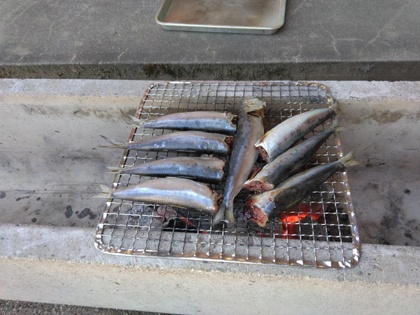 いわし焼く