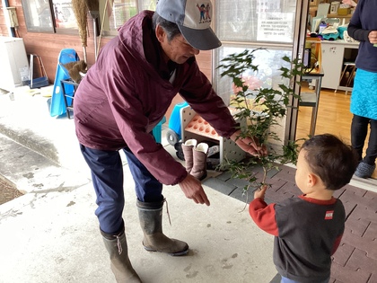 はるみさんひいらぎ