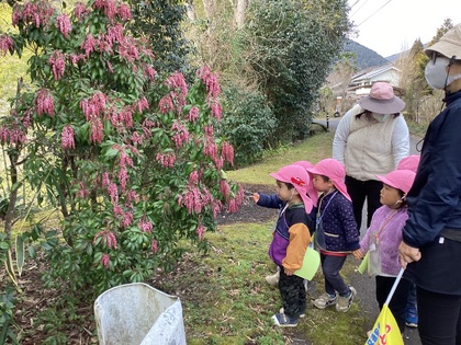 みんなで花を見ます。