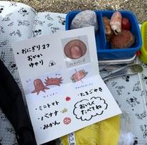 可愛いお弁当