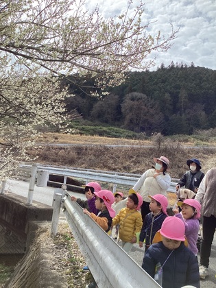 梅の花を見ます。