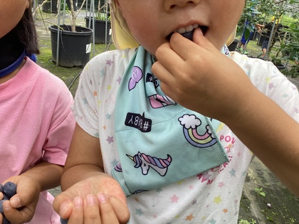 おいしいよ