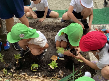 花の植え方を教えてもらっている。