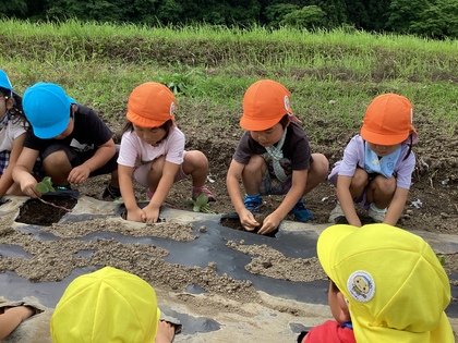 子どもたちの苗付け