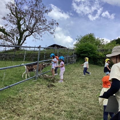 やぎ