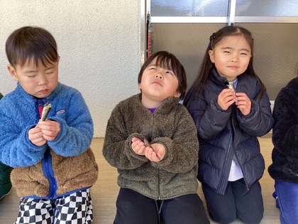 イワシおいしいな4