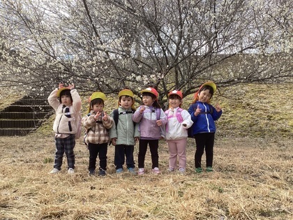梅のお花が咲いてたよ