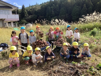 サツマイモ大収穫