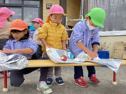 さつま芋を包んでいる。