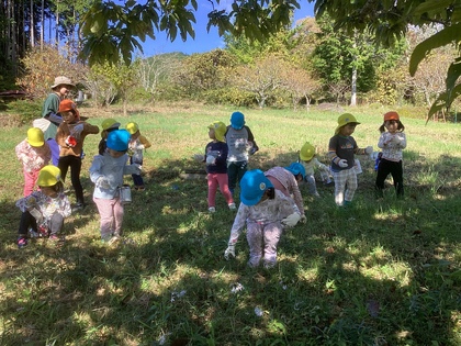 みんなで栗拾い