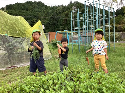 にんじんとれた