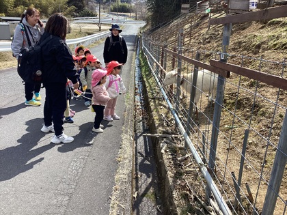 やぎさんこんにちは2