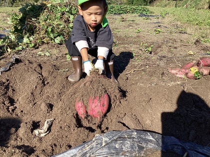 なかなか手ごわい