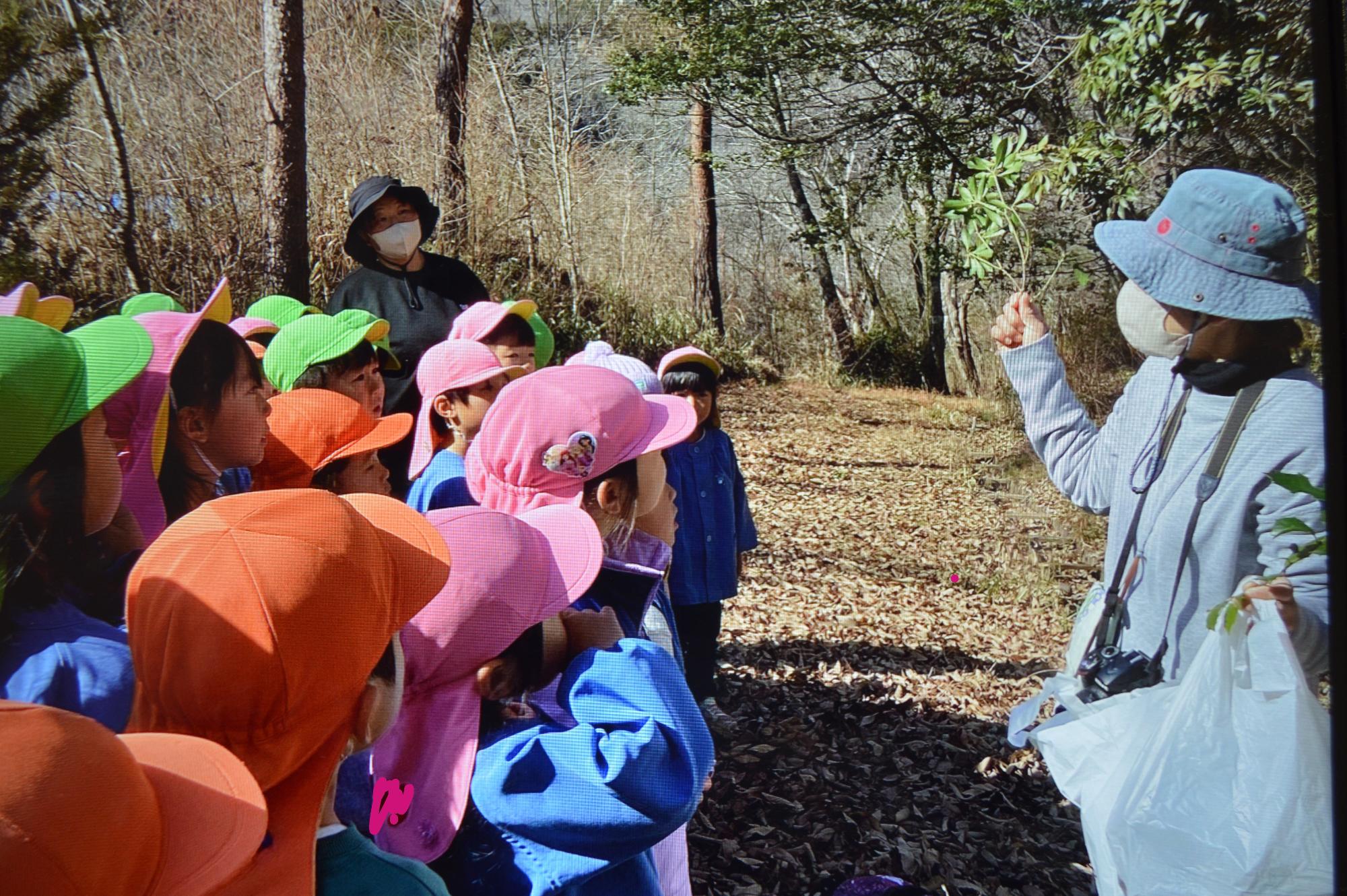 あせびも取れたよ