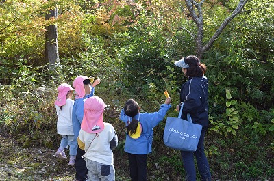 面白い葉っぱを見つけたよ！