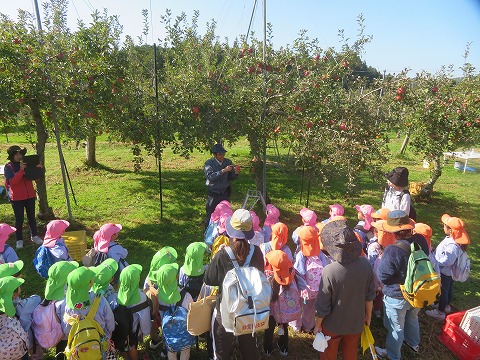 りんご狩り説明