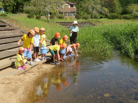 うなぎを川に放す