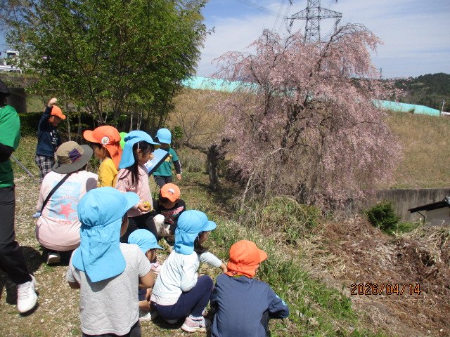 見晴らし台へおさんぽ1